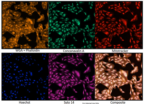 アプリケーション例